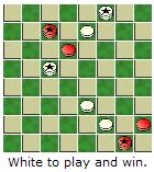 White to play and win.
